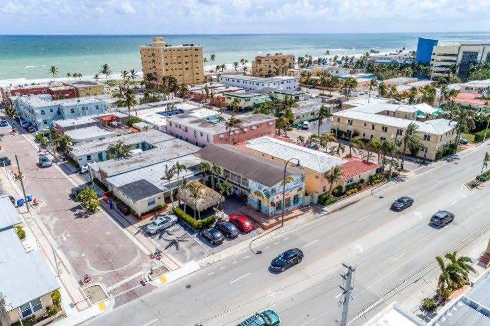 Hollywood Beach Seagull מראה חיצוני תמונה