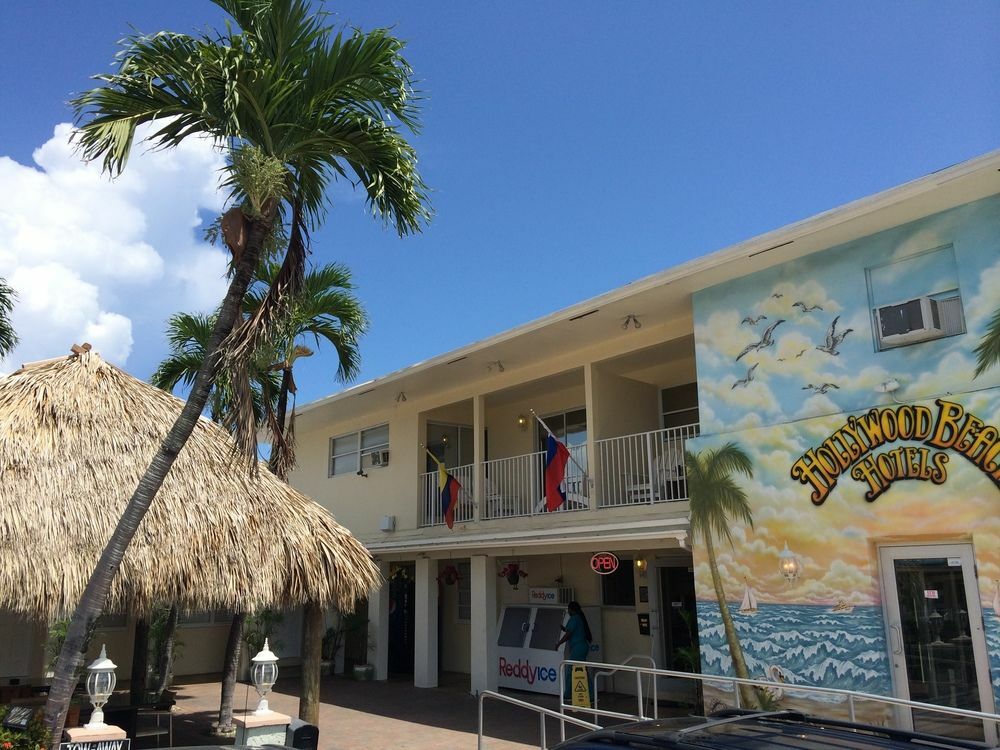 Hollywood Beach Seagull מראה חיצוני תמונה